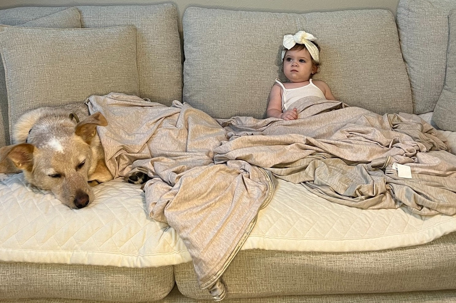 Elegear Arc-Chill 3.0 Cooling Blanket Review 2025