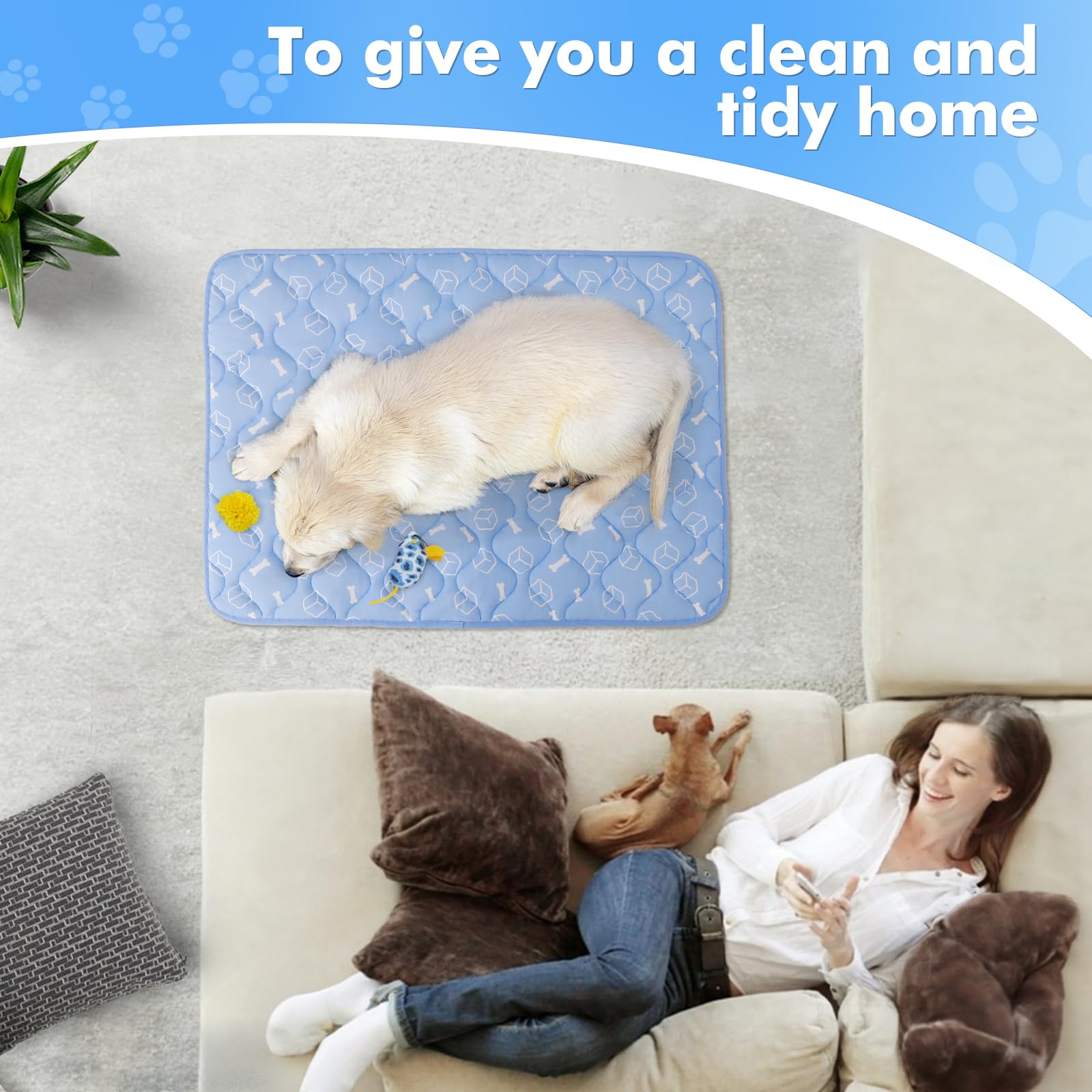 Blue Color Waterproof& Endothermic Summer Cooling Pet Mat