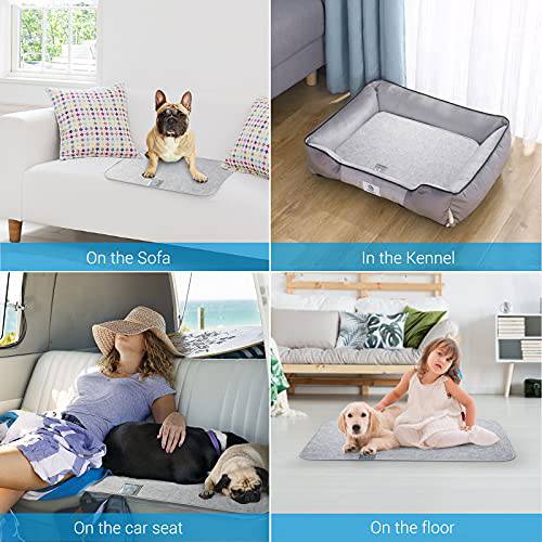 Super Moisture-Absorbent Washable Reusable Pet Mat