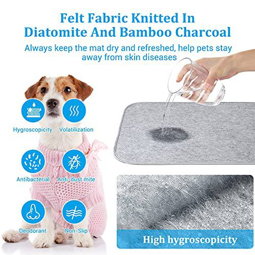 Super Moisture-Absorbent Washable Reusable Pet Mat